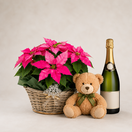 Christmas Poinsettia Basket with Teddy Bear & Sparkling Gift | Holiday Plant Delivery