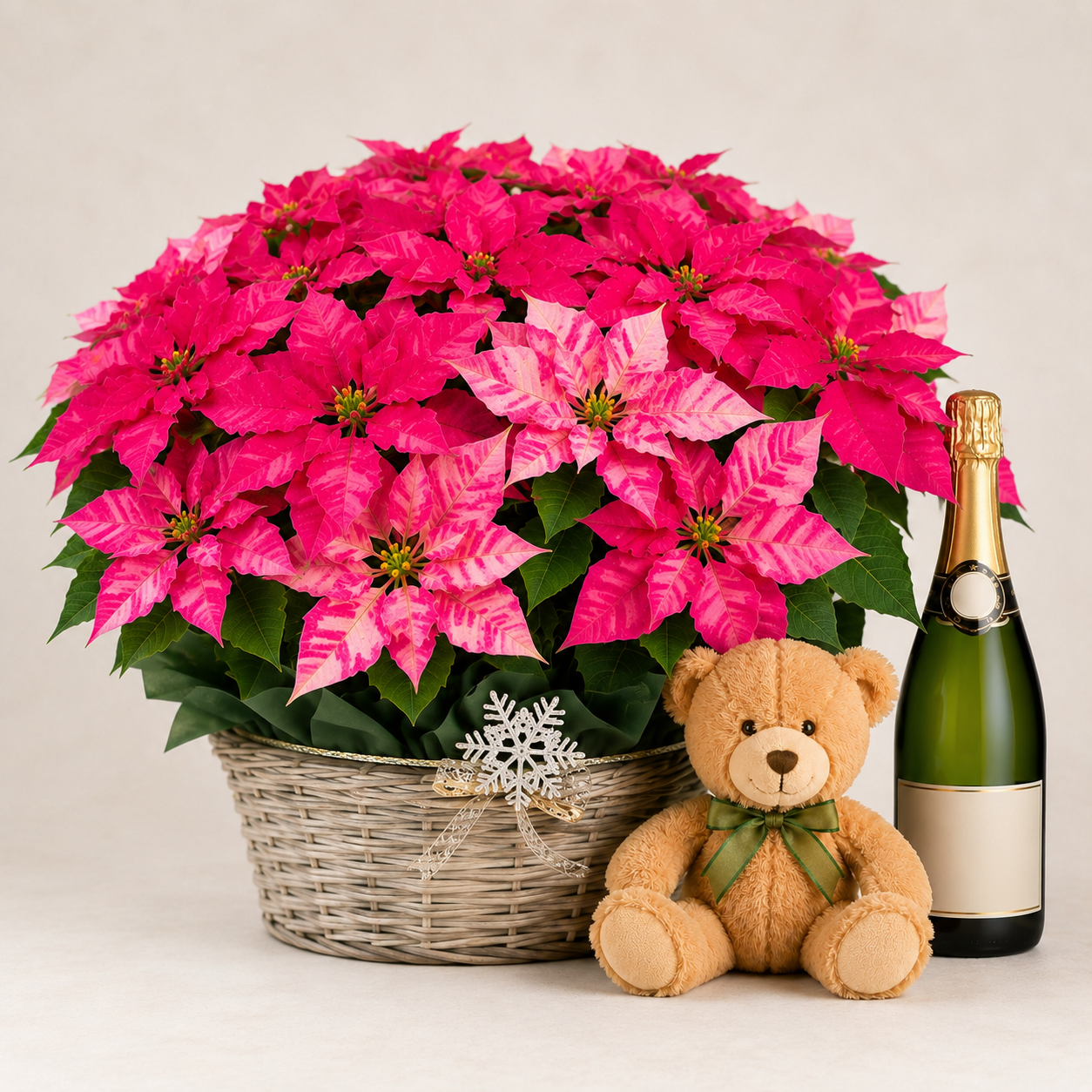 Christmas Poinsettia Basket with Teddy Bear & Sparkling Gift | Holiday Plant Delivery