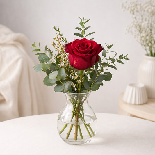 Single Red Rose | Send One Red Rose Online