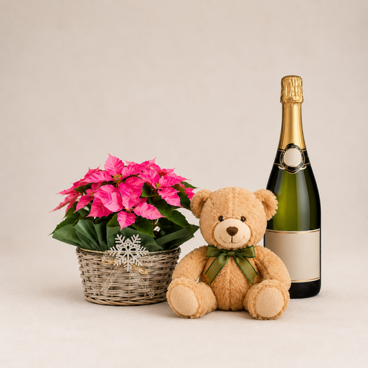 Christmas Poinsettia Basket with Teddy Bear & Sparkling Gift | Holiday Plant Delivery