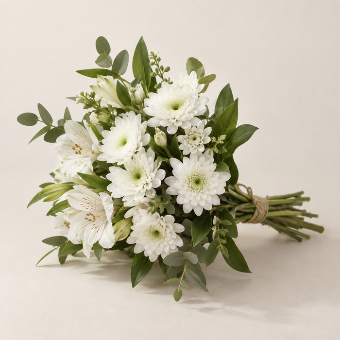 Eleganza bianca — immagine di ispirazione
